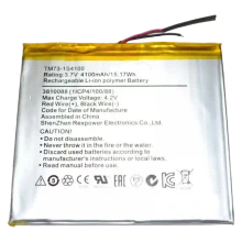 Bateria Para Tablet 4100Mah 3.7V Original (99 X 90Mm)
